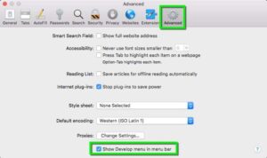 Clearing the browser cache in Safari